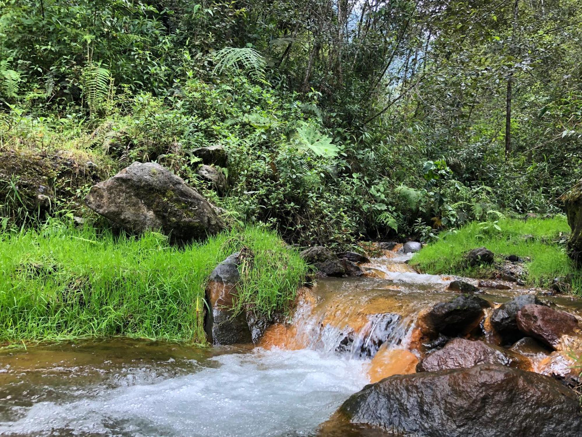 Mountain Chalet - Tungurahua Hot Springs/Aguas Termales Baños Dış mekan fotoğraf